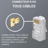 SFTP RJ45 CAT.6 8P8C 100 pièces/sac